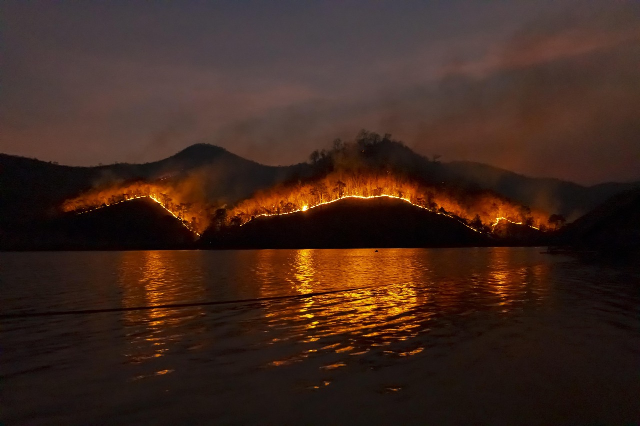&Scaron;umski požar i dim